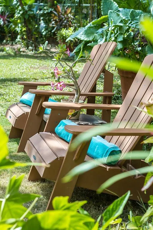 Hotel Lunata - 5Th Avenue (Adults Only) Playa del Carmen
