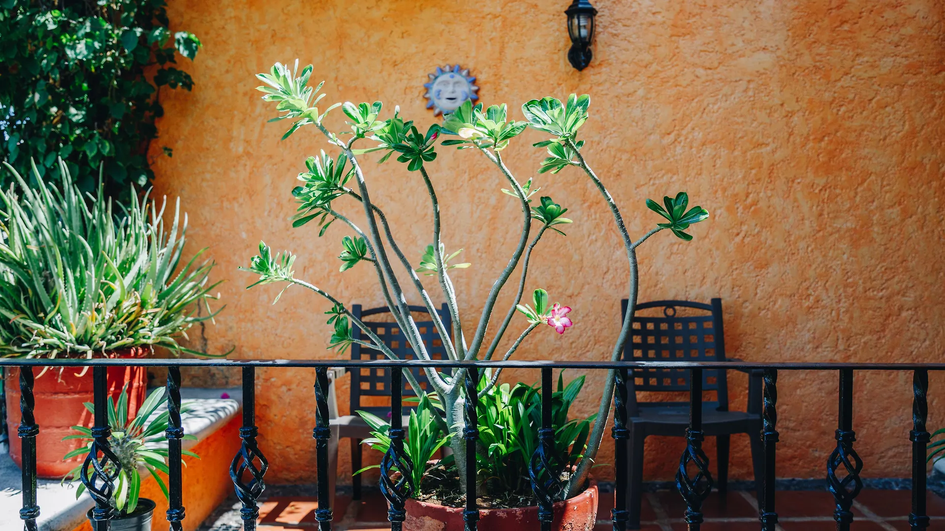 Hotel Lunata - 5Th Avenue (Adults Only) Playa del Carmen